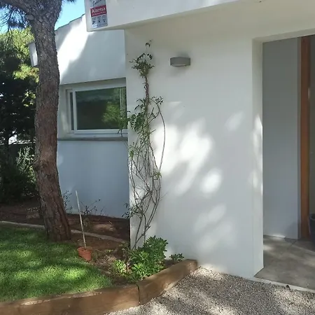 Сasa de vacaciones Diseno Y Luz Entre Pinos *