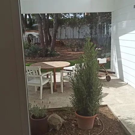 Diseno Y Luz Entre Pinos *