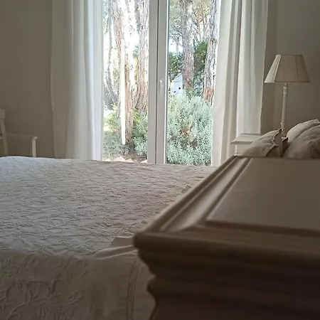 Сasa de vacaciones Diseno Y Luz Entre Pinos