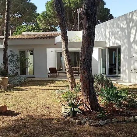 Diseno Y Luz Entre Pinos Holiday home