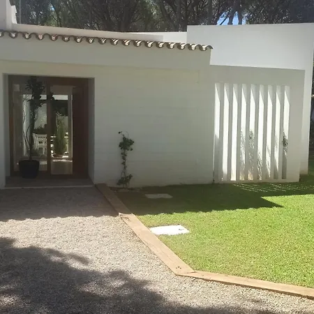 Diseno Y Luz Entre Pinos *