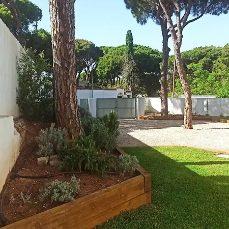Diseno Y Luz Entre Pinos Holiday home