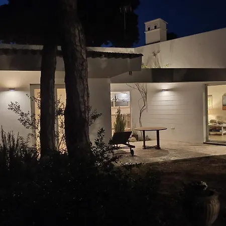 Holiday home Diseno Y Luz Entre Pinos