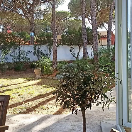 Diseno Y Luz Entre Pinos Chiclana de la Frontera