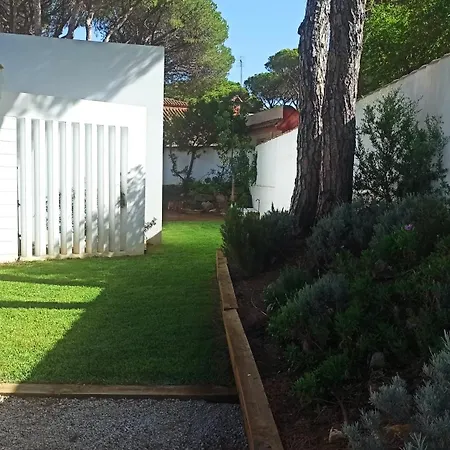 Diseno Y Luz Entre Pinos Holiday home