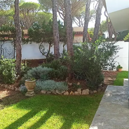 Holiday home Diseno Y Luz Entre Pinos