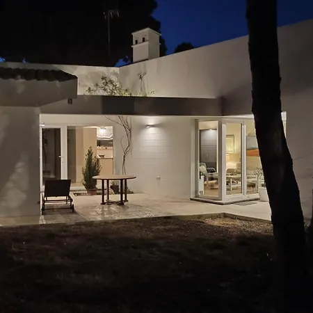 Diseno Y Luz Entre Pinos *