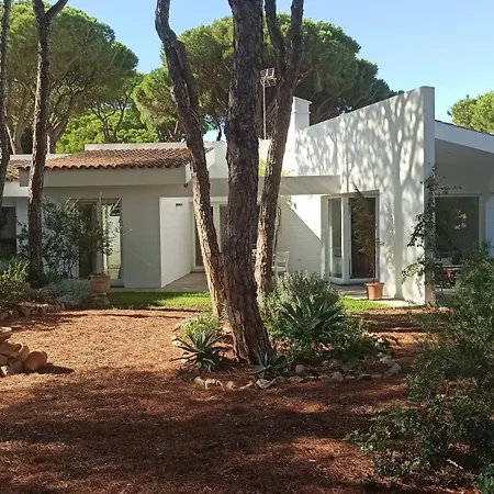 Diseno Y Luz Entre Pinos Chiclana de la Frontera