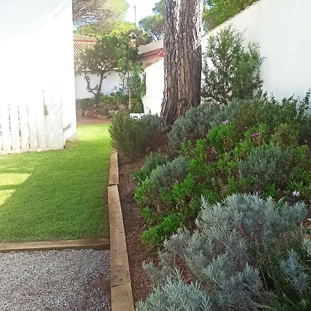Diseno Y Luz Entre Pinos Holiday home *