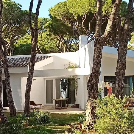 Holiday home Diseno Y Luz Entre Pinos *