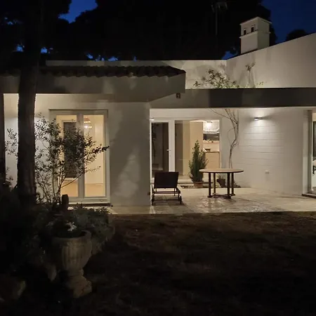 Diseno Y Luz Entre Pinos *