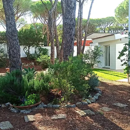 Diseno Y Luz Entre Pinos Chiclana de la Frontera