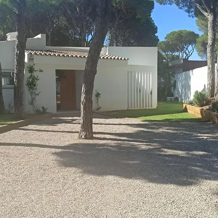 Diseno Y Luz Entre Pinos
