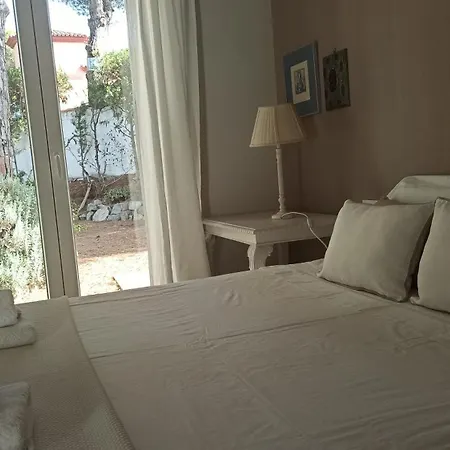 Diseno Y Luz Entre Pinos Holiday home