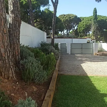 Holiday home Diseno Y Luz Entre Pinos