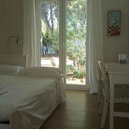 Holiday home Diseno Y Luz Entre Pinos *