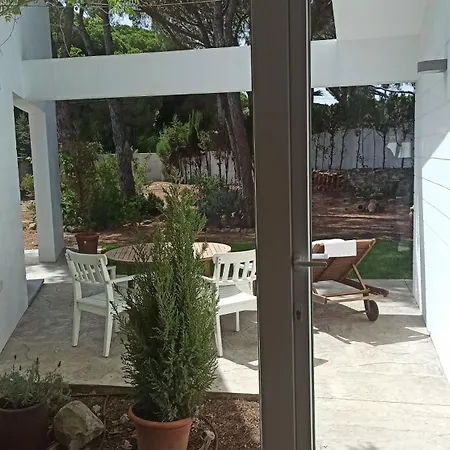 Diseno Y Luz Entre Pinos * Chiclana de la Frontera