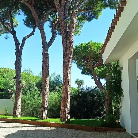 Diseno Y Luz Entre Pinos Holiday home