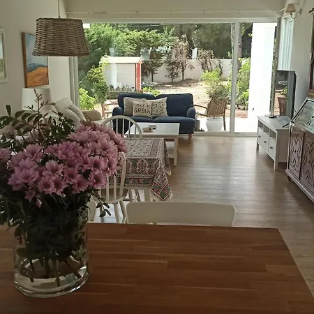 Diseno Y Luz Entre Pinos *