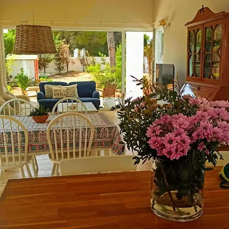 Diseno Y Luz Entre Pinos Holiday home *