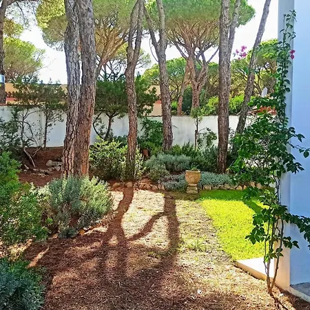 Diseno Y Luz Entre Pinos Holiday home